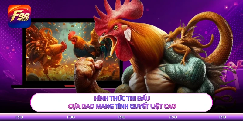 Hình thức thi đấu cựa dao mang tính quyết liệt cao